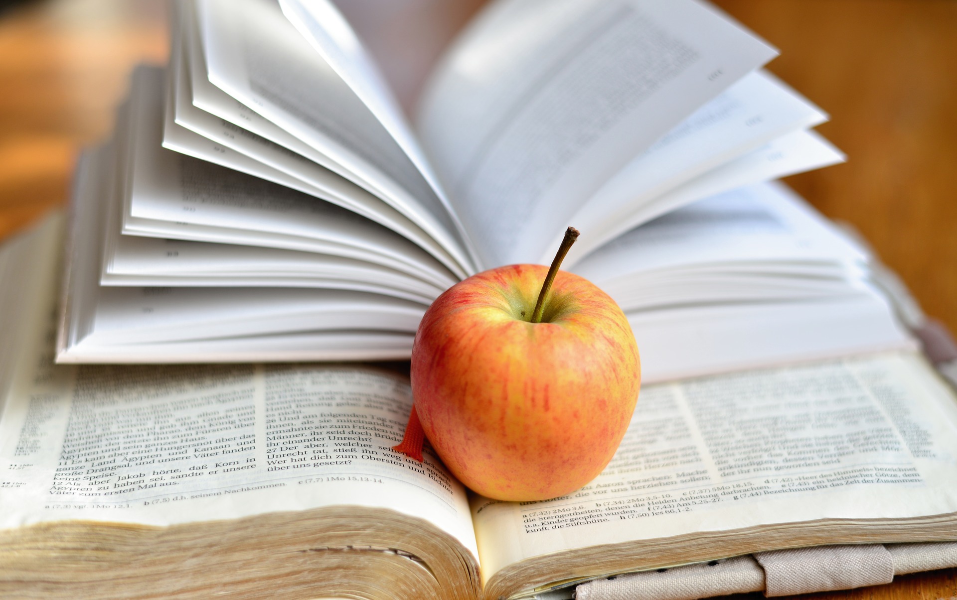 Kuvassa avoin Raamattu ja sen päällä avoin toinen kirja sekä kirjojen päällä punertava omena.